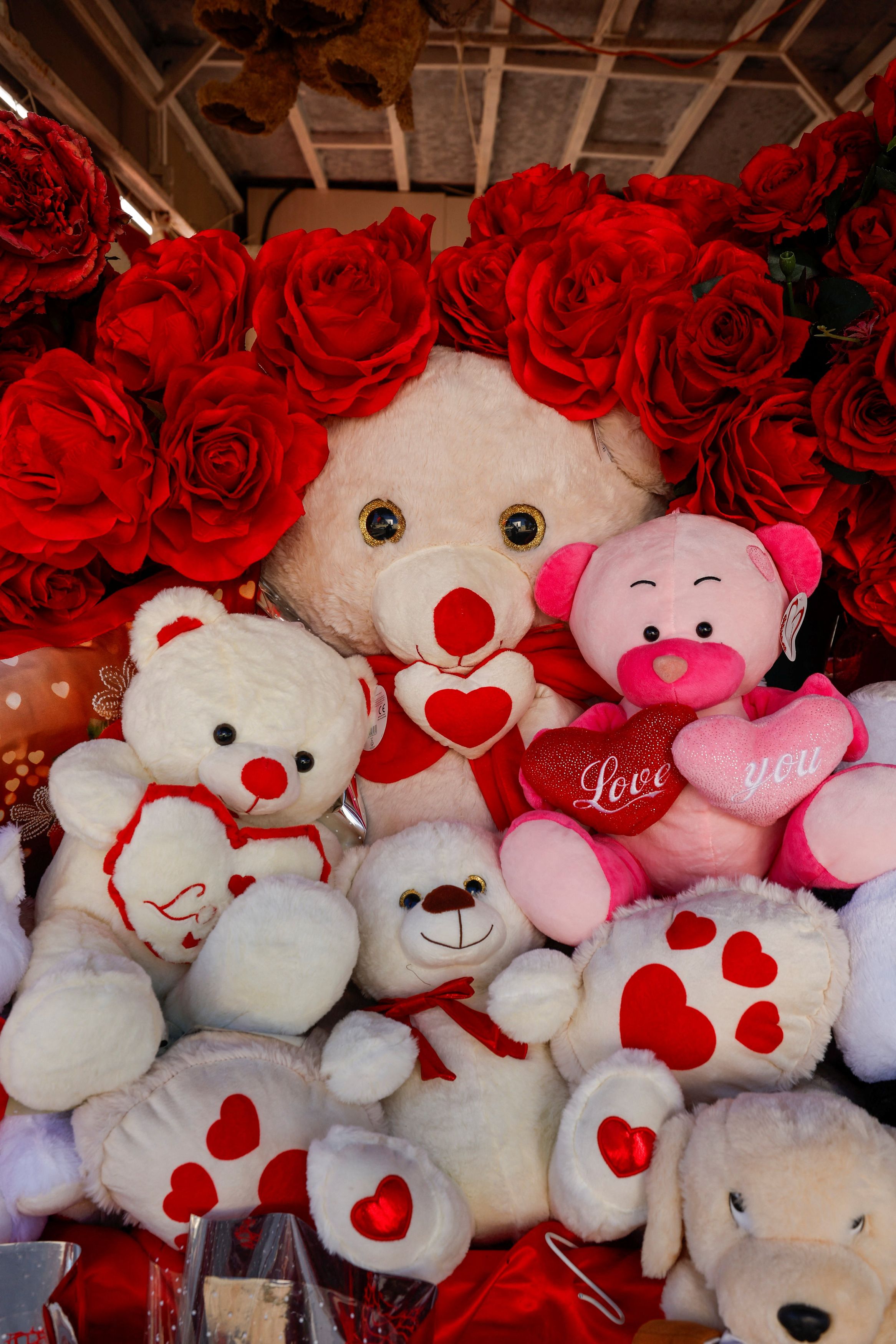  ভালোবাসার অনুভূতি শুধু তাৎক্ষণিক আবেগ নয়