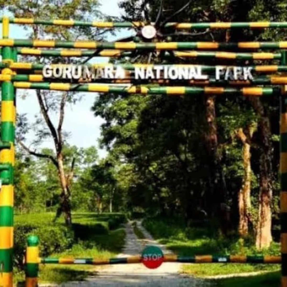 গরুমারা