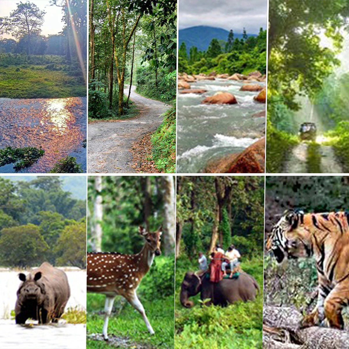 গরুমারা