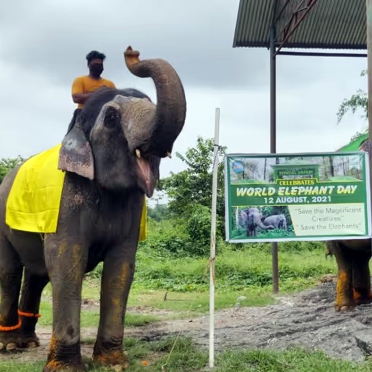 গরুমারা