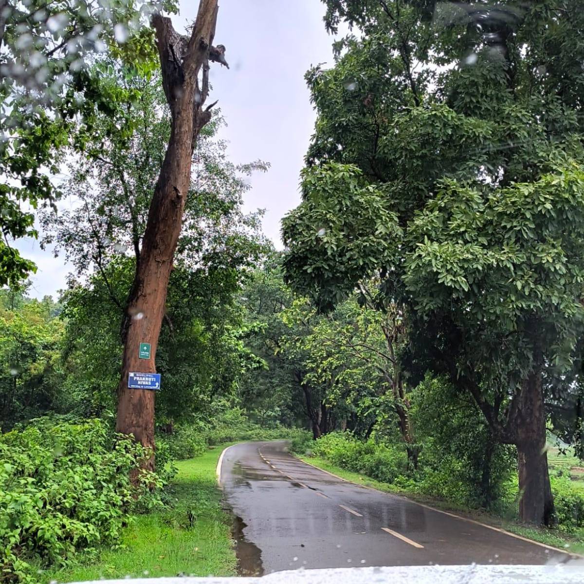 গরমকাল শুরু হয়ে গিয়েছে। এই সময় বহু মানুষ নানান জায়গা ঘুরতে যান।আর ঘুরতে যাওয়ার কথা বললেই সবার আগে মাথায় আসে উত্তরবঙ্গের কথা। 