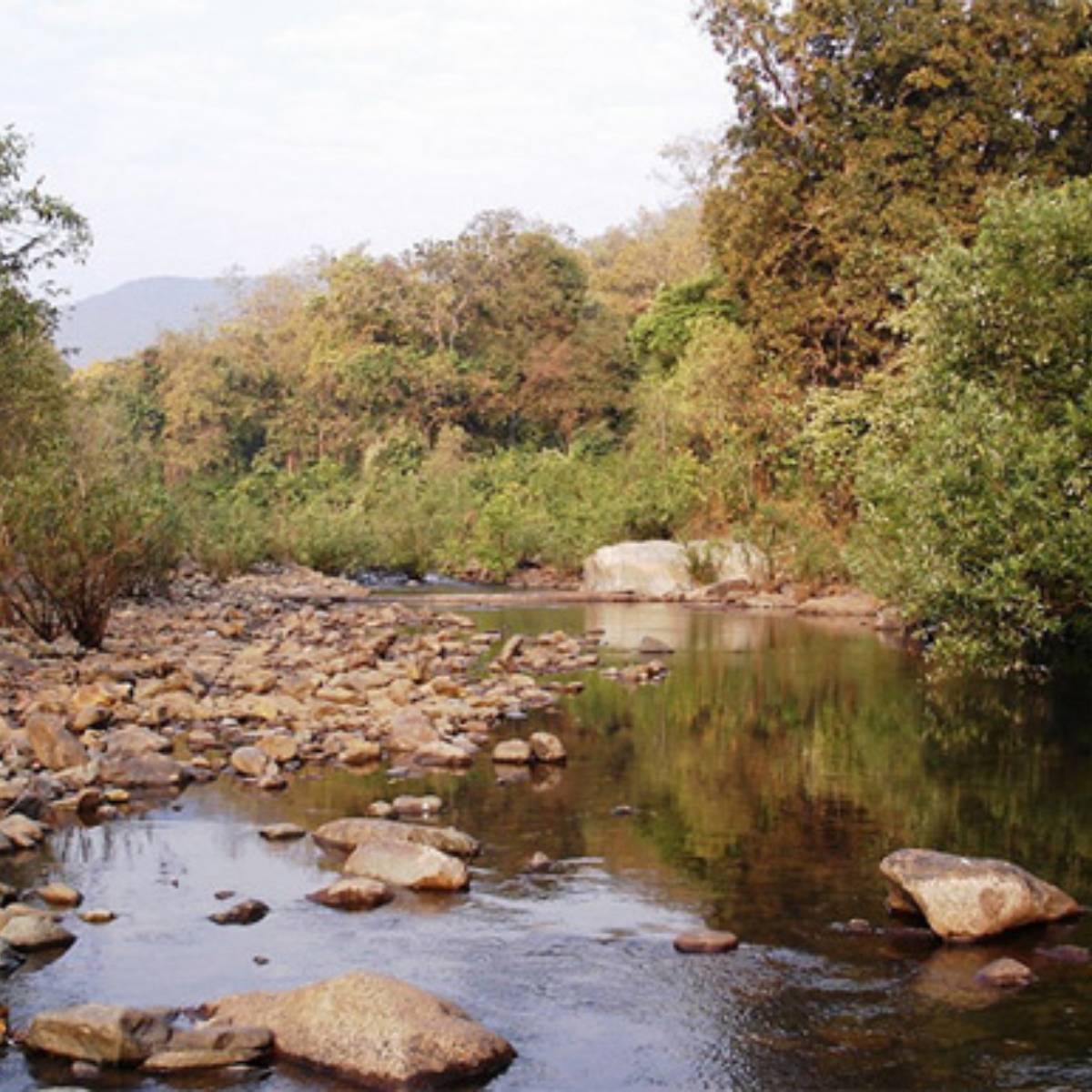 কিন্তু আপনি যদি হাতে ২ দিন ছুটি পান, তাহলে ঘুরে আসতে পারেন পাহাড়, ঝরণা ও আদিবাসী সংস্কৃতির মেলবন্ধন লুলুং থেকে।