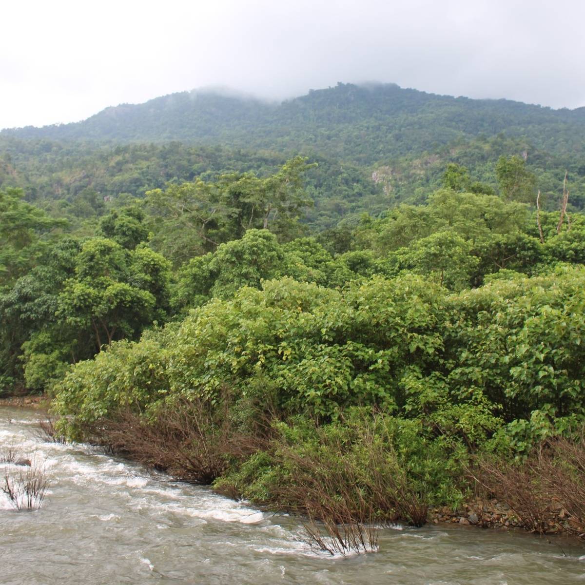 জঙ্গল পথে হেঁটে বেড়ানো, পাহাড়ি ট্রেকিং বা নিছক বসে প্রকৃতির রং বদলানো দেখা সবই এখানে উপভোগ করতে পারবেন।