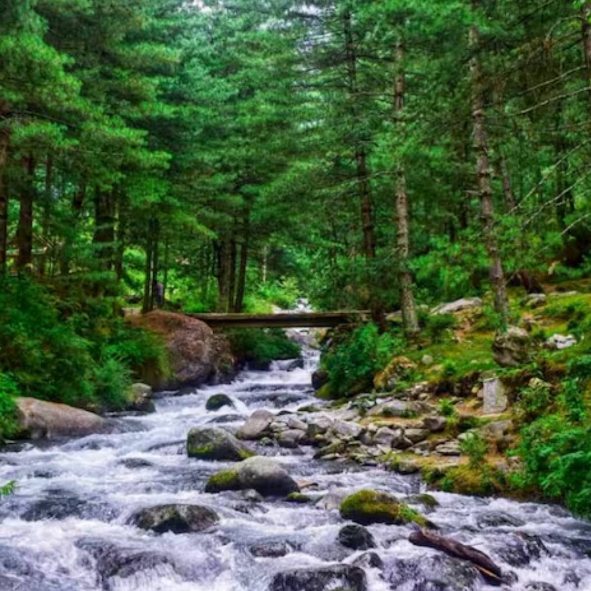 মানালি নামটা শুনলেই আমাদের চোখে ভেসে ওঠে বরফ-ঢাকা পর্বতমালা, ঘন পাইন বন এবং বিয়াস নদীর মনোরম দৃশ্য। কিন্তু এই জায়গার আরেকটি বিশেষ বৈশিষ্ট্য যা প্রায়শই উপেক্ষিত হয়, তাহলো এর ঐতিহ্যবাহী রন্ধনশৈলী। 