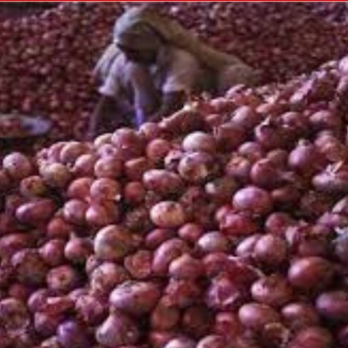 দিনে কতটা কাঁচা পেঁয়াজ নিরাপদ?