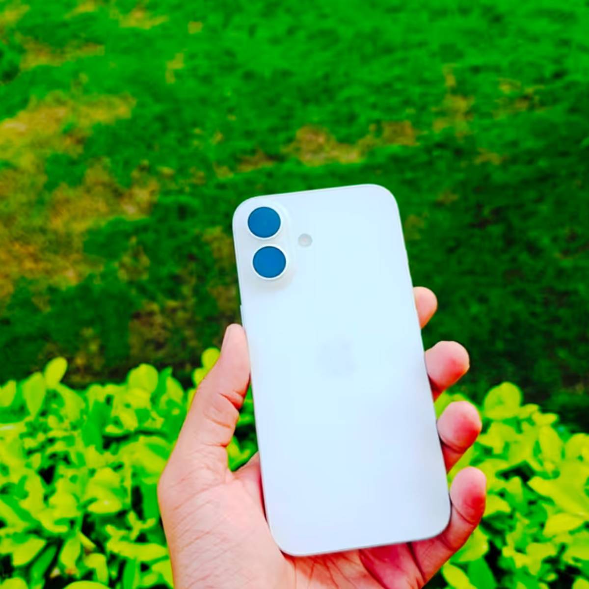 আইফোন ১৬ প্লাস-এ রয়েছে একটি ৬.৭-ইঞ্চি ওএলইডি ডিসপ্লে। এই ডিসপ্লেটি চমৎকার উজ্জ্বলতা এবং চমৎকার রঙের ভারসাম্য প্রদান করে। এর রিফ্রেশ রেট ৬০ হার্টজ।