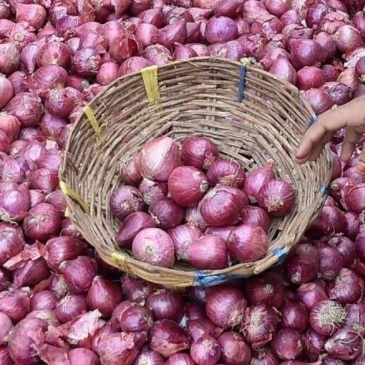 তবে, যদি আপনার কোনও গুরুতর হজমের সমস্যা না থাকে, তাহলে দুপুরের খাবারে সালাদ হিসেবে কাঁচা পেঁয়াজ খাওয়া একটি দুর্দান্ত বিকল্প।