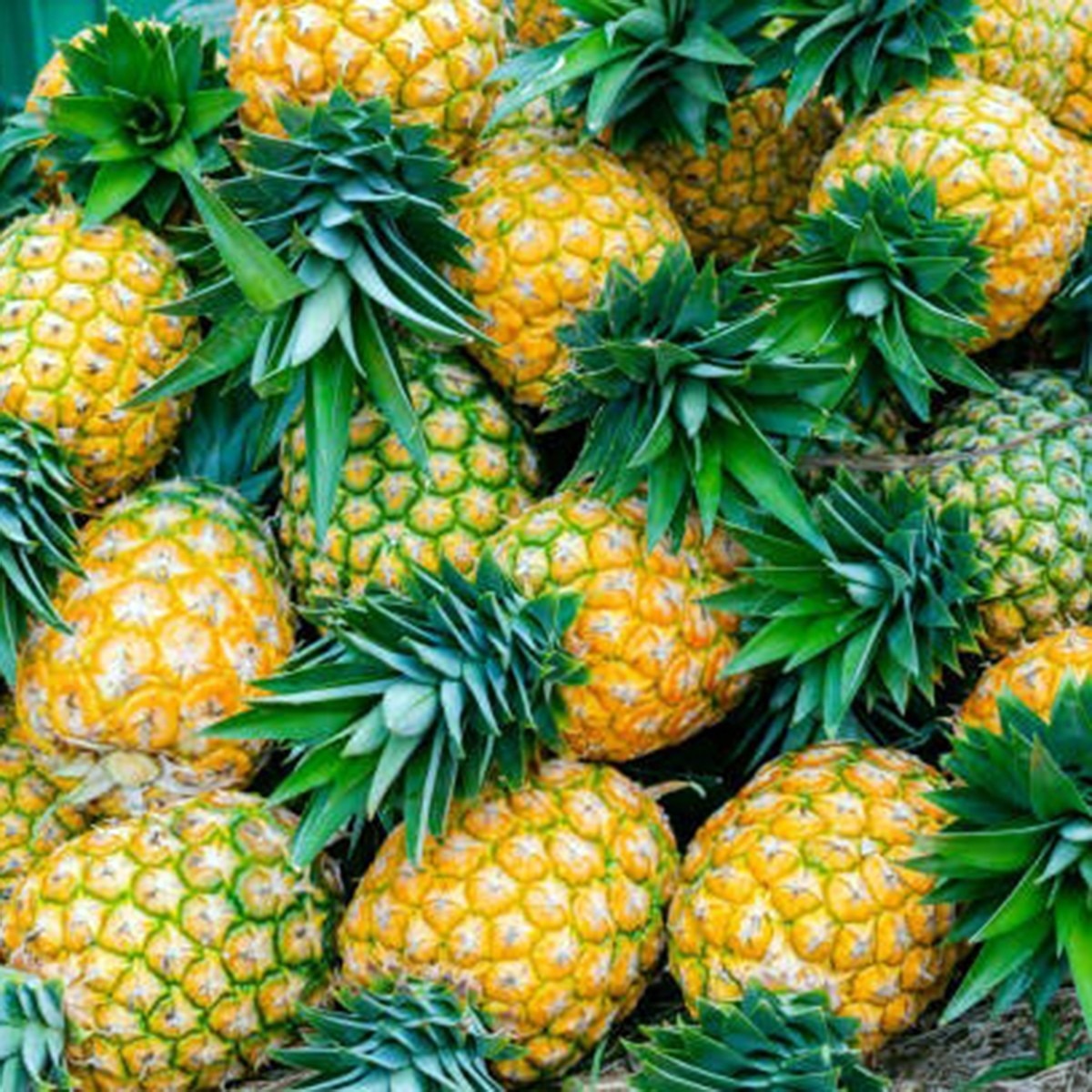 গ্রিলড পাইনঅ্যাপল