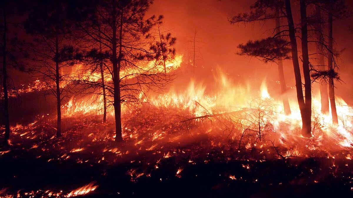 উষ্ণায়ন উষ্ণায়ন