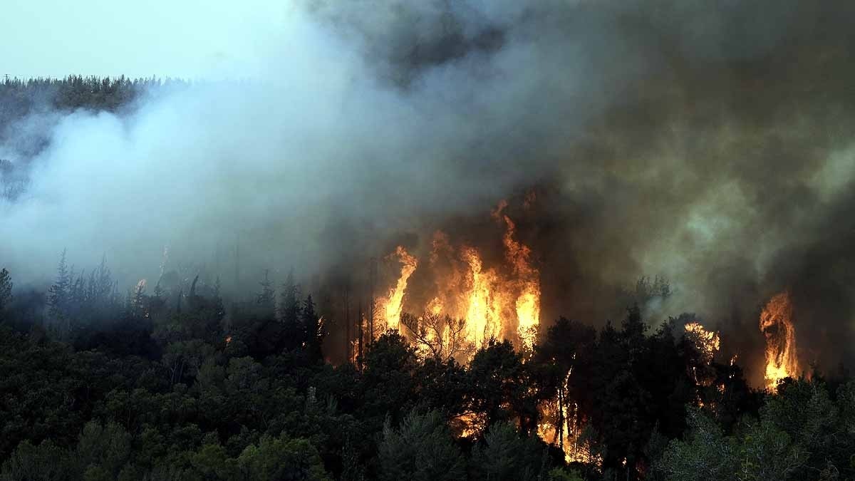 উষ্ণায়ন উষ্ণায়ন