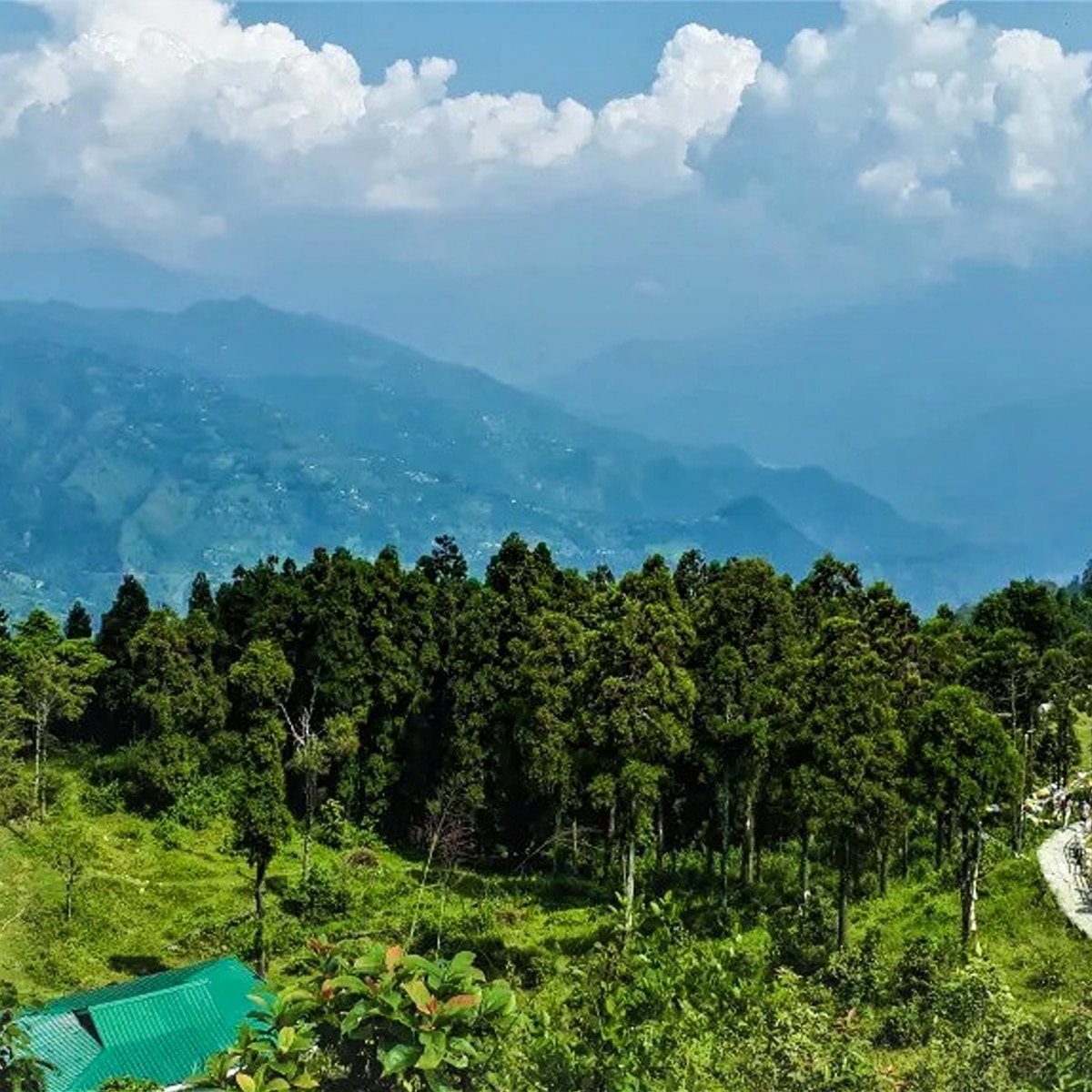 তারেভিরে 2