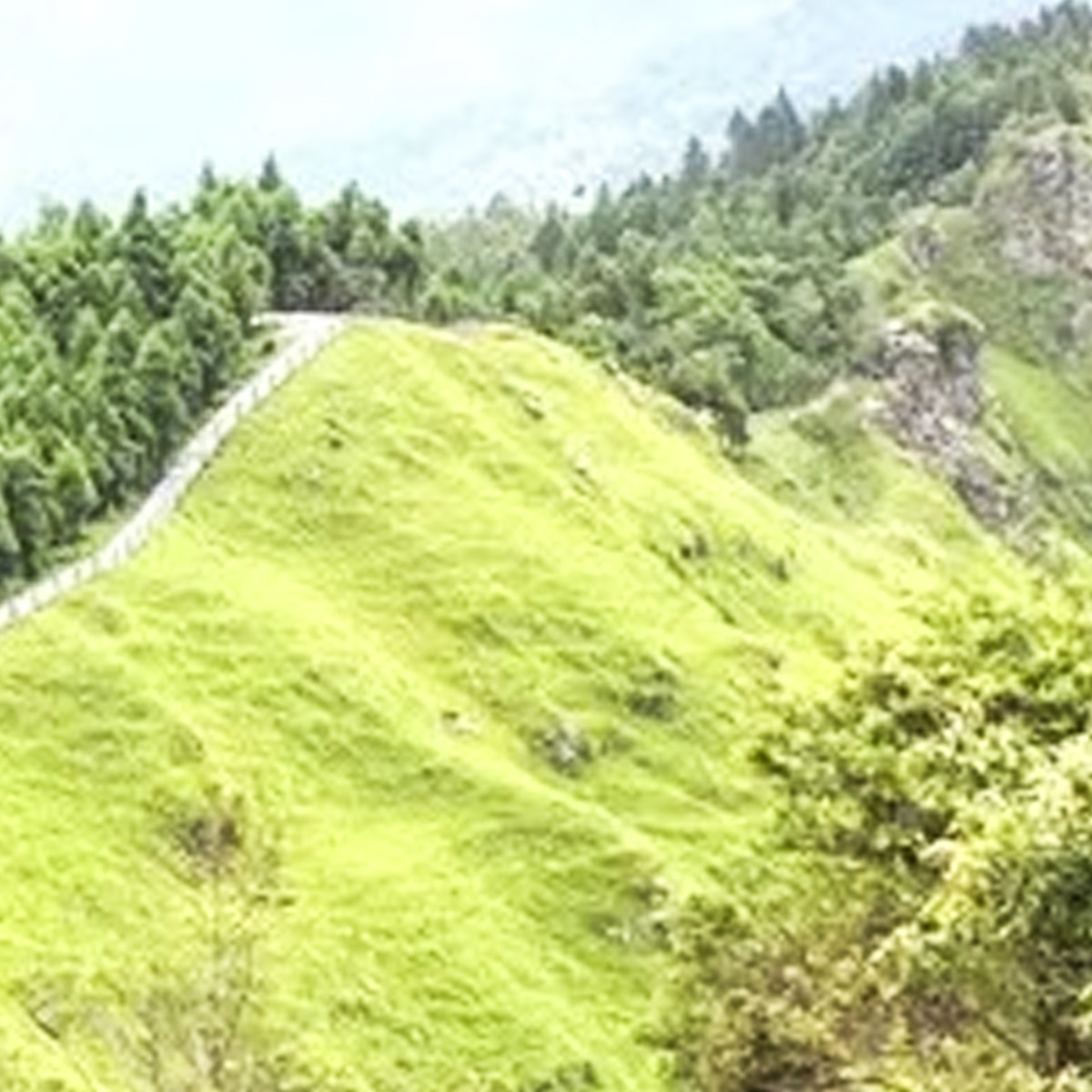 তারেভিরে 1