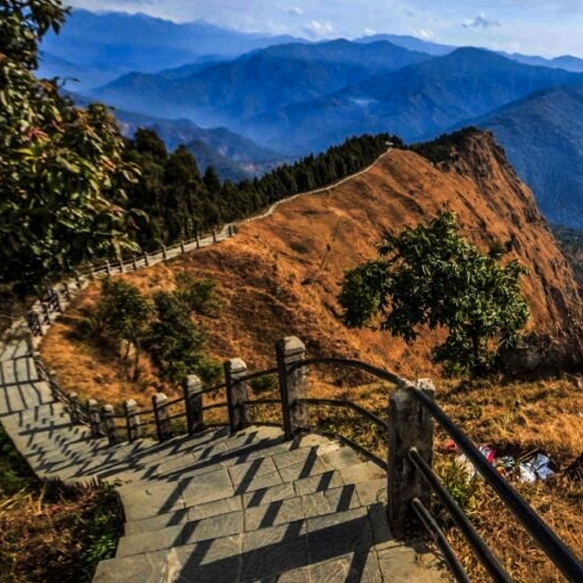 তারেভির 3