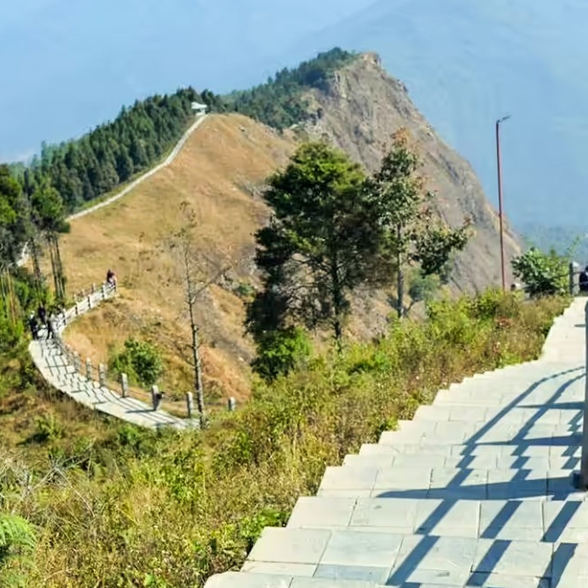 তারেভিরে 8