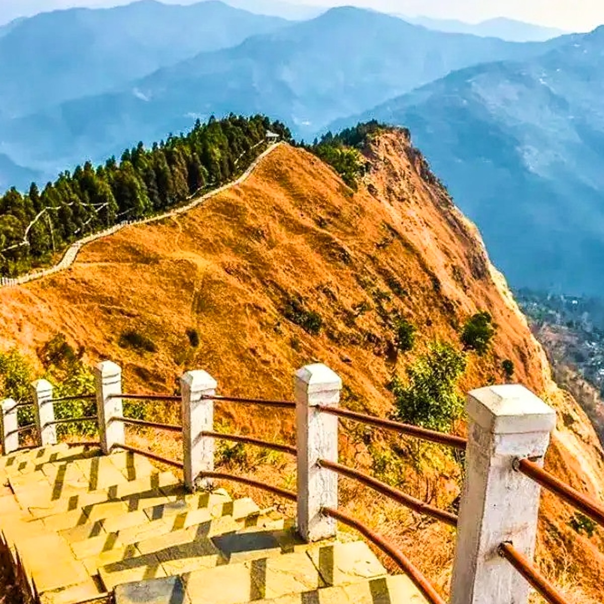 তারেভিরে 9