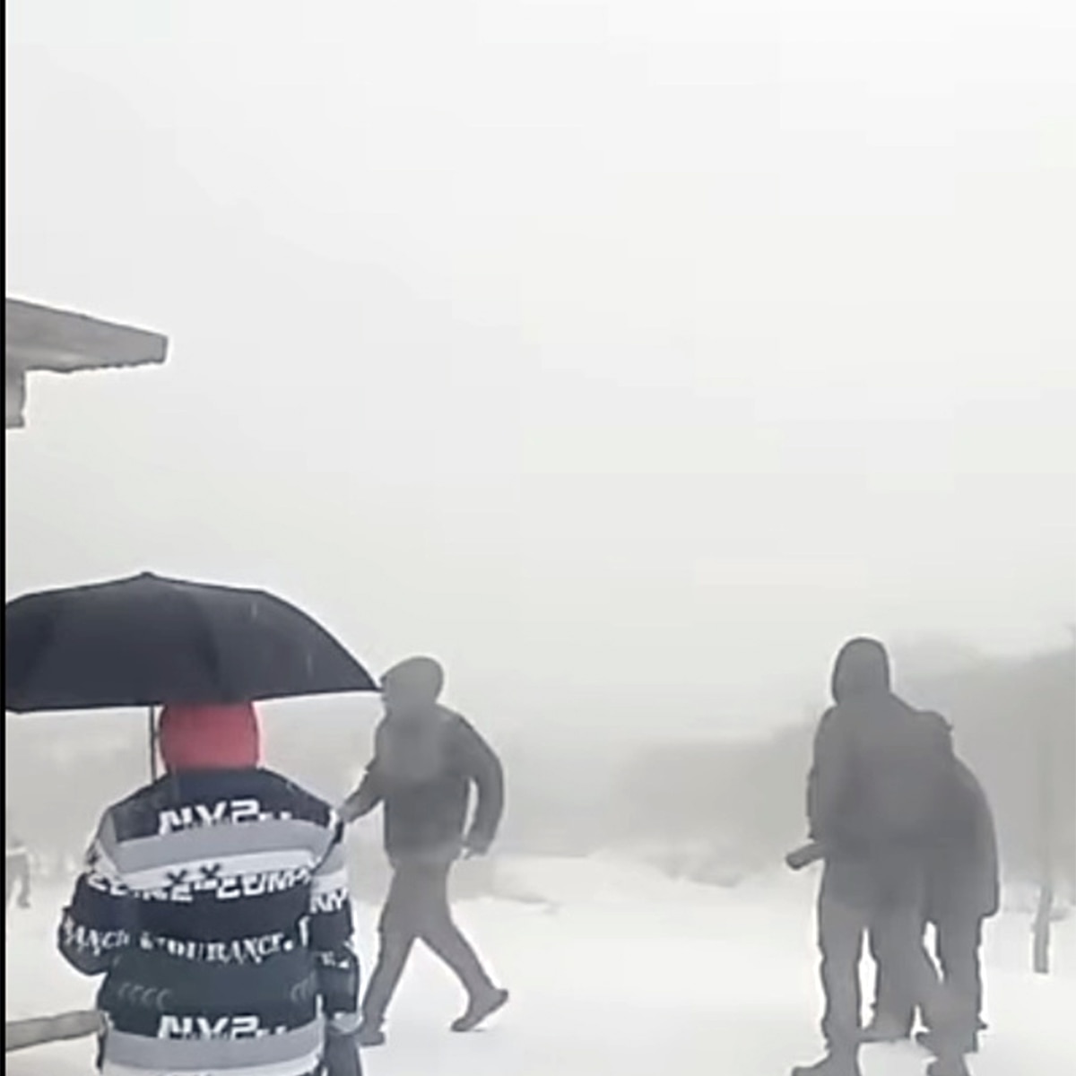 সান্দাকফু ১০