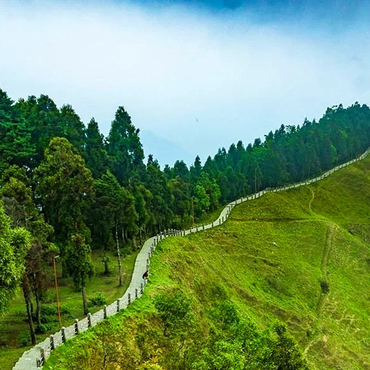 তারেভির 10