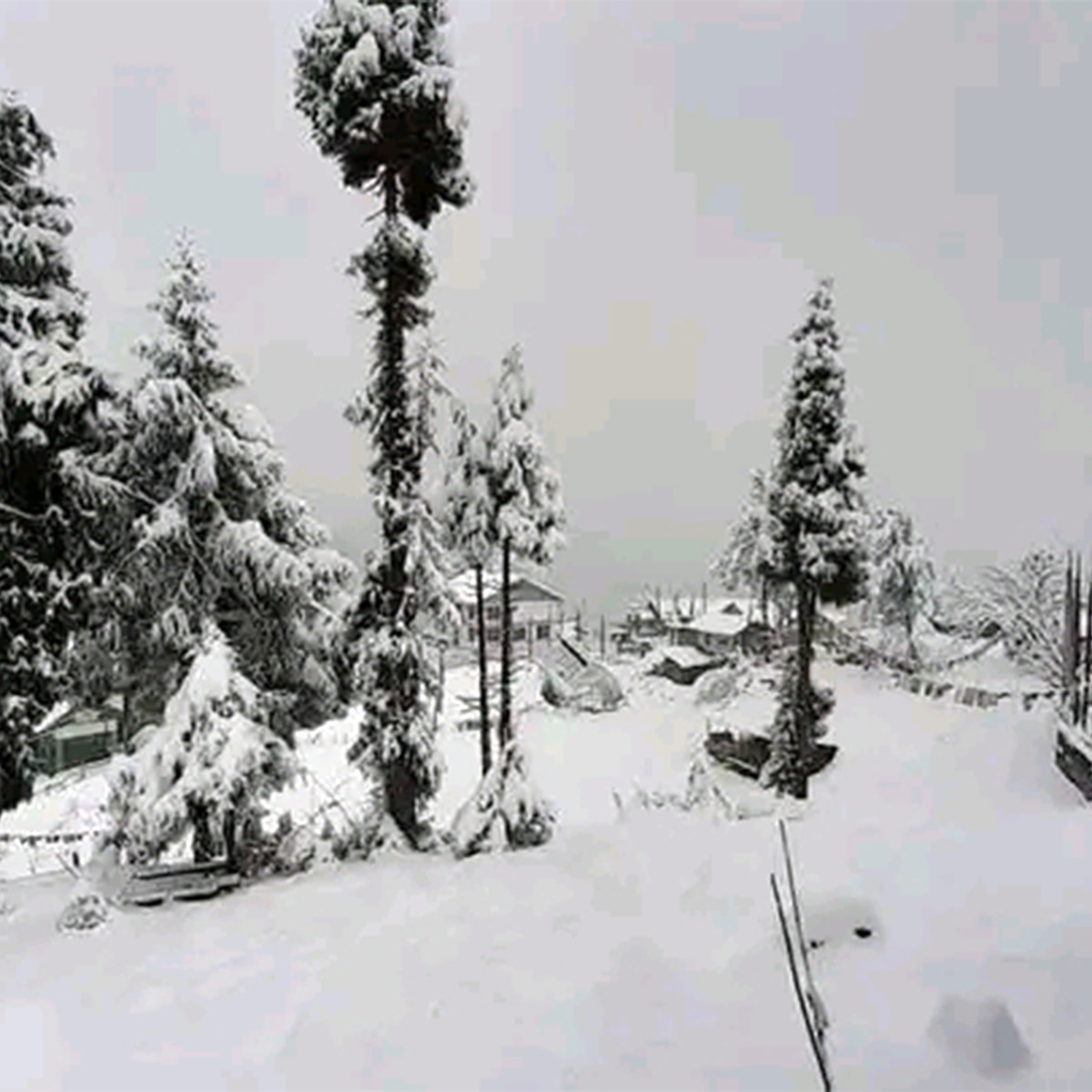 সান্দাকফু ৯