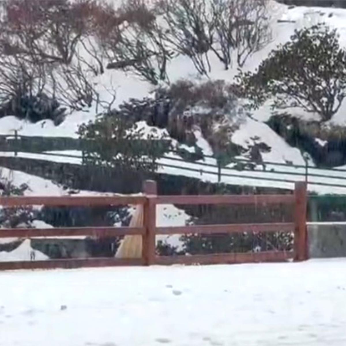 সিকিমে তুষারপাত