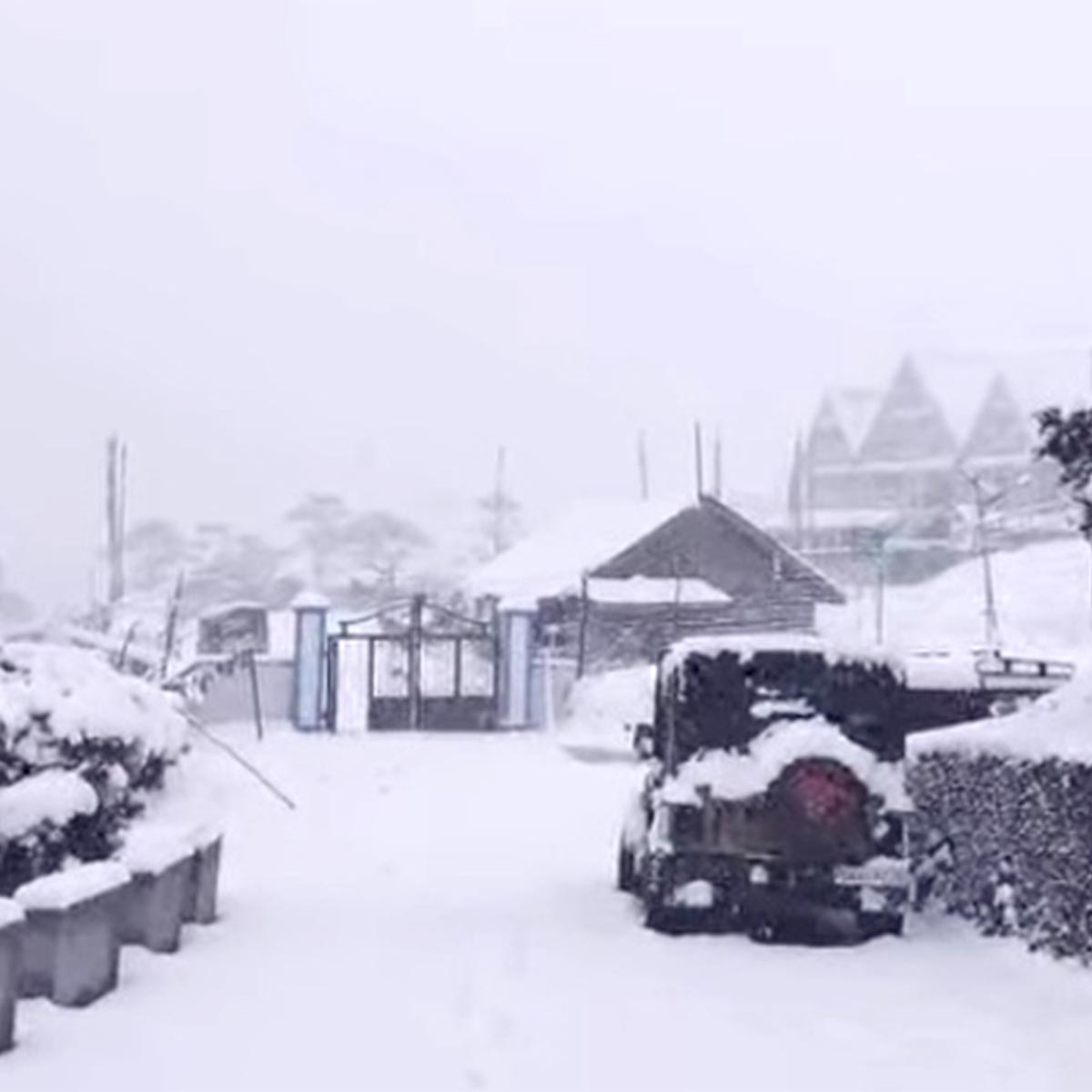 সিকিমে তুষারপাত ৩