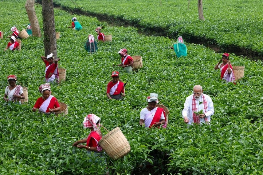 PM Modi Tea Garden Visit