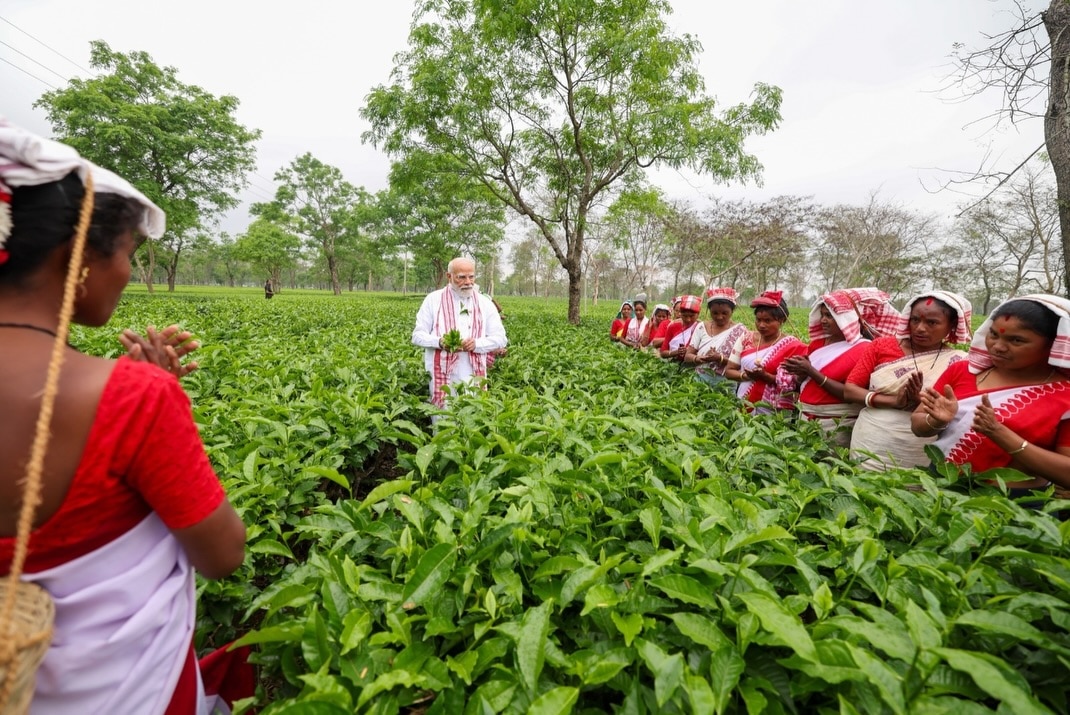 PM Modi Tea Garden Visit