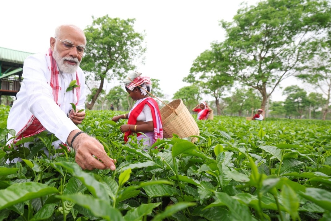 PM Modi Tea Garden Visit