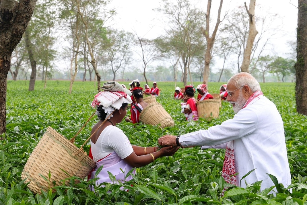 PM Modi Tea Garden Visit