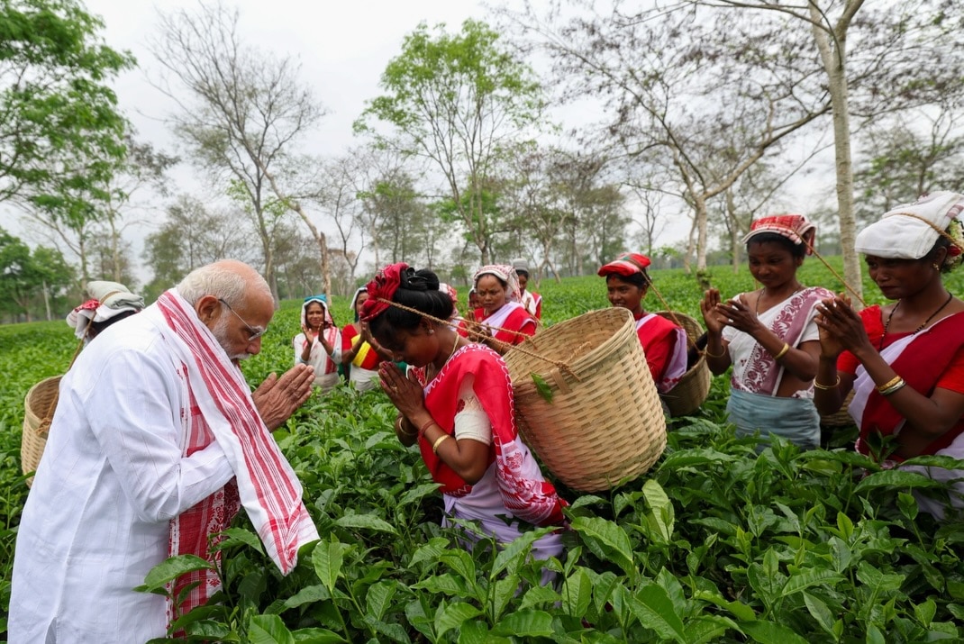 PM Modi Tea Garden Visit