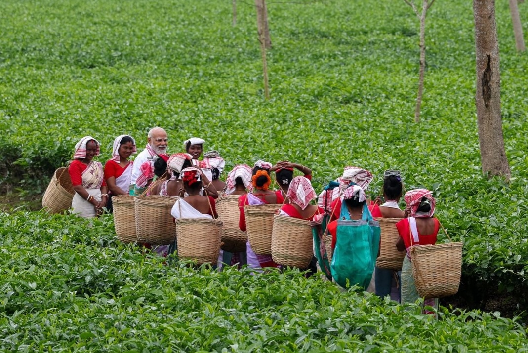 PM Modi Tea Garden Visit