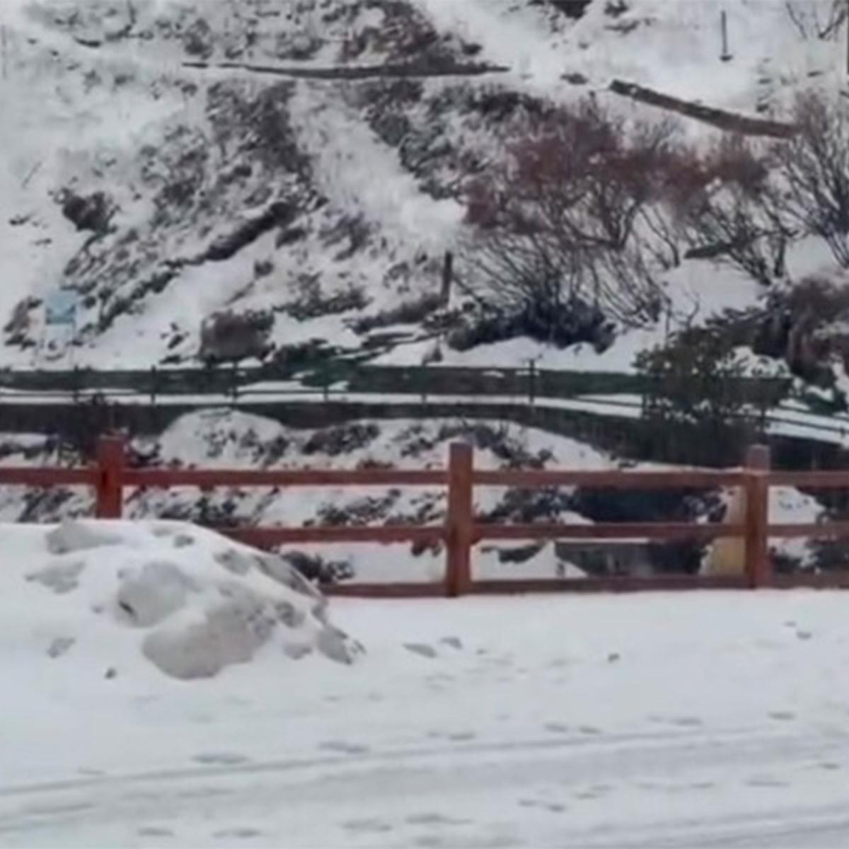 সিকিমে তুষারপাত