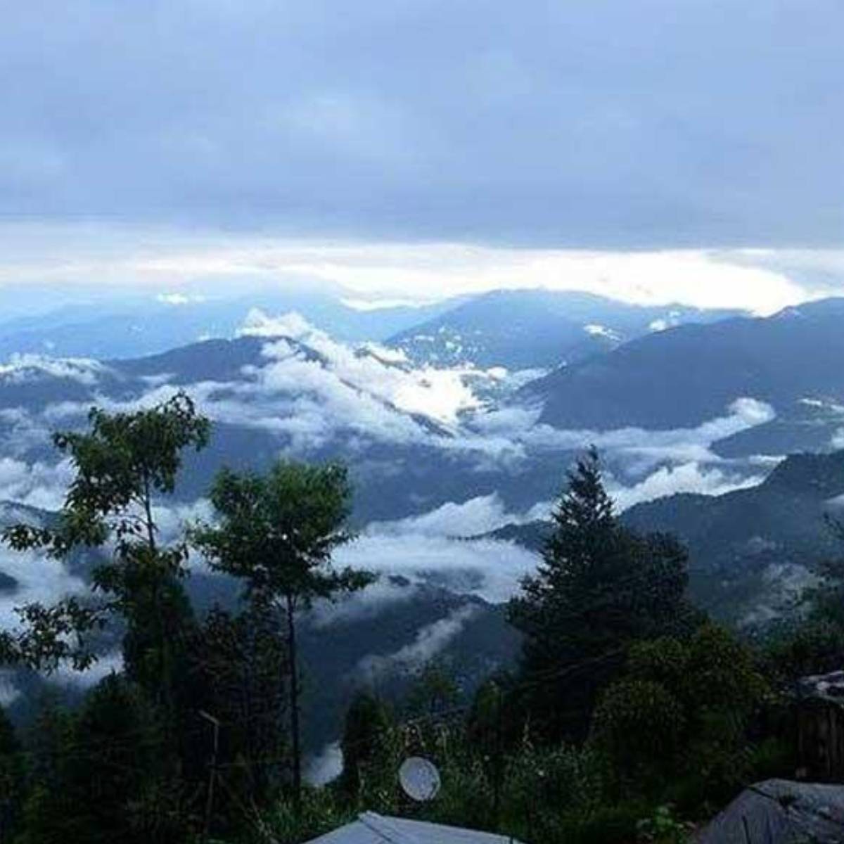 সিঞ্চল অভয়ারণ্যে ছোট্ট পাহাড়ি গ্রাম দাওয়াইপানি। এখানে মেঘ গাভীর মতো চড়ে। আক্ষরিক অর্থেই। কলকাতা বা শিলিগুড়ির যানজট ও কোলাহল এড়িয়ে নিরিবিলিতে এক-দুদিন রাত থাকার জন্য এক দারুণ জায়গা। অফবিট হলেও লোকজনের ভিড় ক্রমশ বাড়ছে। এখন সারা বছরই লোক আসেন নিস্তব্ধতা উপভো সিঞ্চল অভয়ারণ্যে ছোট্ট পাহাড়ি গ্রাম দাওয়াইপানি। এখানে মেঘ গাভীর মতো চড়ে। আক্ষরিক অর্থেই। কলকাতা বা শিলিগুড়ির যানজট ও কোলাহল এড়িয়ে নিরিবিলিতে এক-দুদিন রাত থাকার জন্য এক দারুণ জায়গা। অফবিট হলেও লোকজনের ভিড় ক্রমশ বাড়ছে। এখন সারা বছরই লোক আসেন নিস্তব্ধতা উপভো