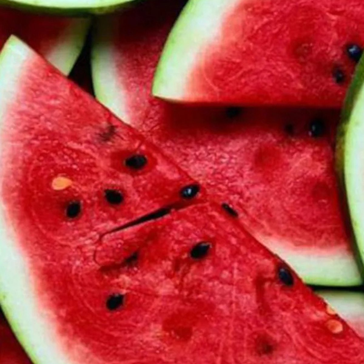 তরমুজ খাওয়ার ট্রিকস ৭ তরমুজ খাওয়ার ট্রিকস ৭