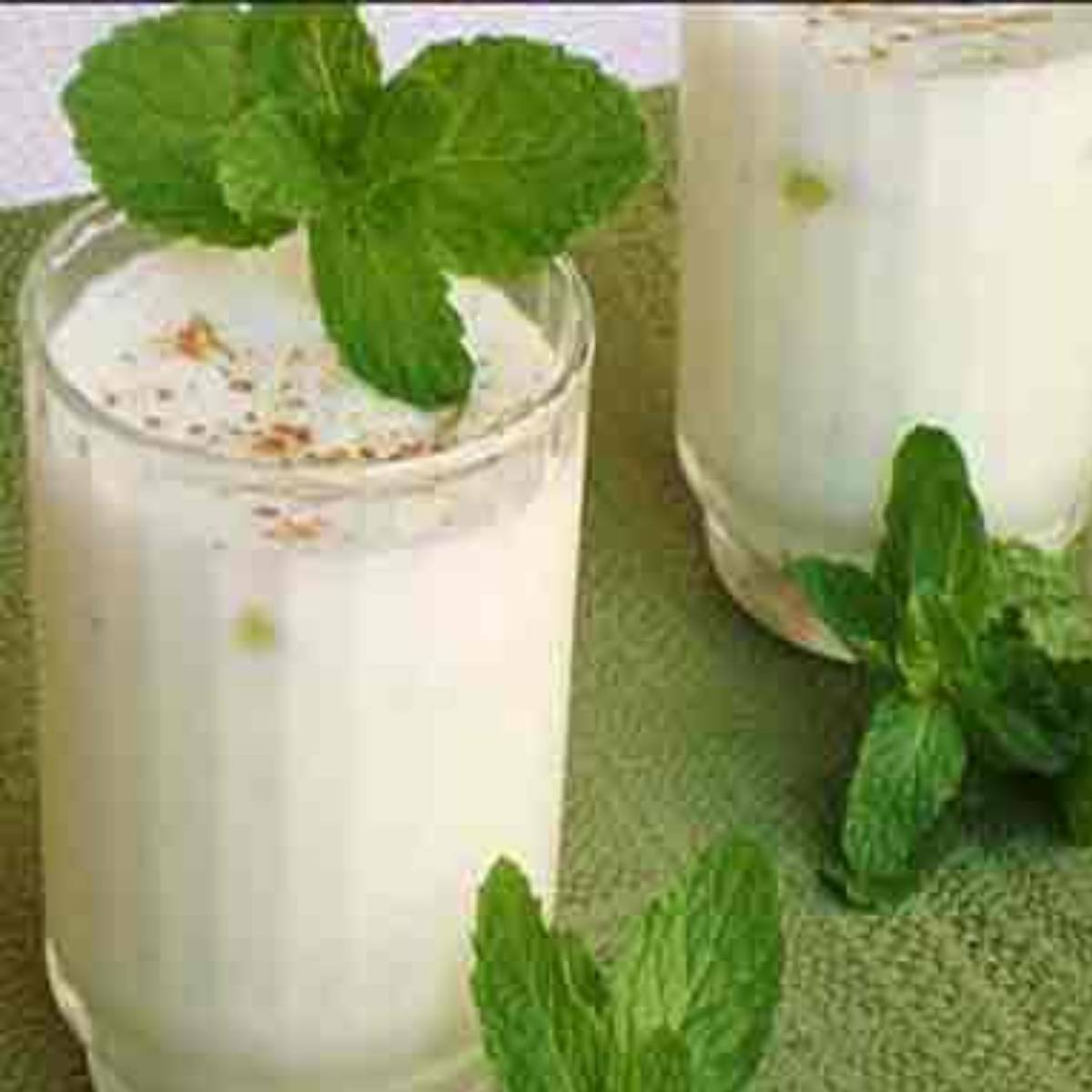 পুদিনা শুধু শরীরকে সতেজই করে না, এটি হজমের জন্যও খুব ভালো। অনেকেই অভিযোগ করেন যে, ঘরে বানানো ঘোল বোতলজাত দুধবা রেস্তোরাঁর দুধের মতো স্বাদ ও গন্ধ পায় না। 