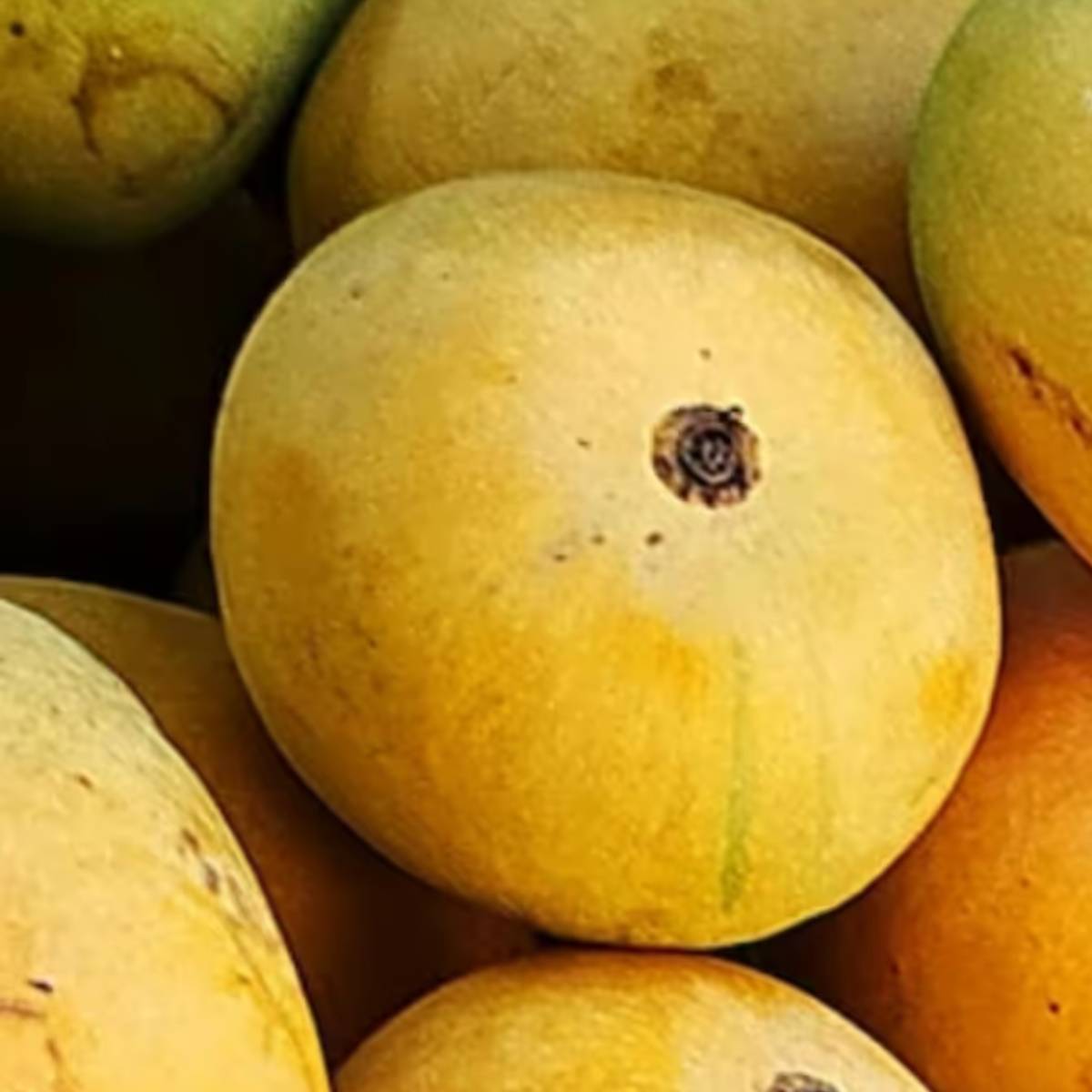 কাঁচা আম ও পাকা আমের স্বাদ আলাদা হয়। দুই আমই খেতে সুস্বাদু হয়।