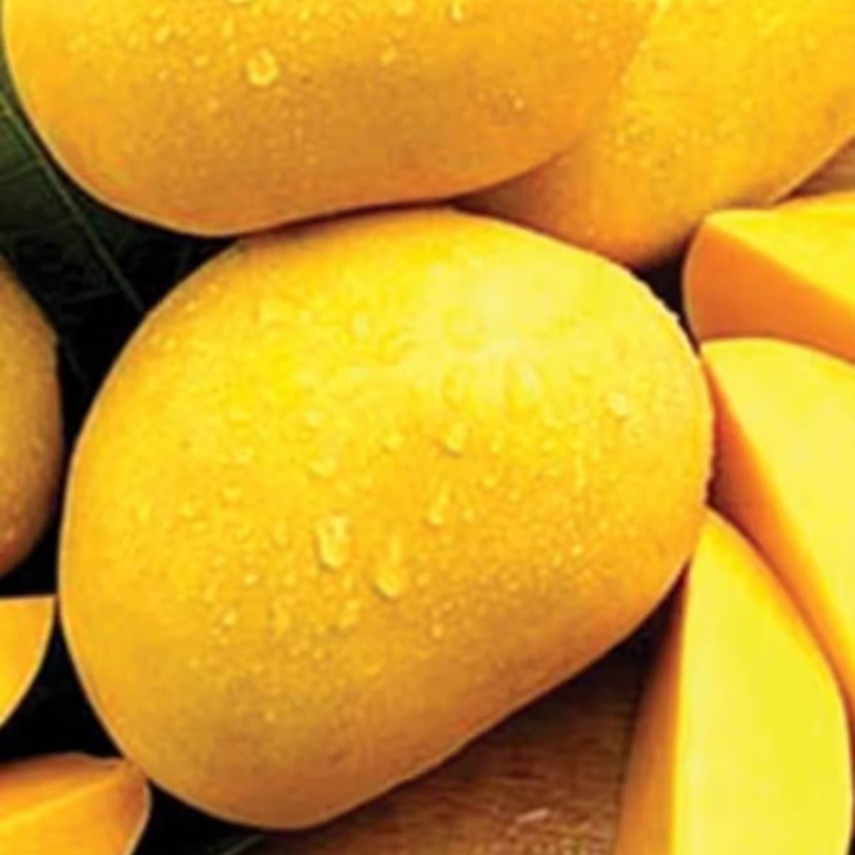 কাঁচা আম দিয়ে সাধারণত চাটনি, আচার বা আম পানা বানান হয়। এই ধরণের খাবার বা পানীয় আমাদের শরীর ঠান্ডা করে। গ্রীষ্মের প্রচণ্ড দাবদাহে এটি বিশেষভাবে জনপ্রিয়।