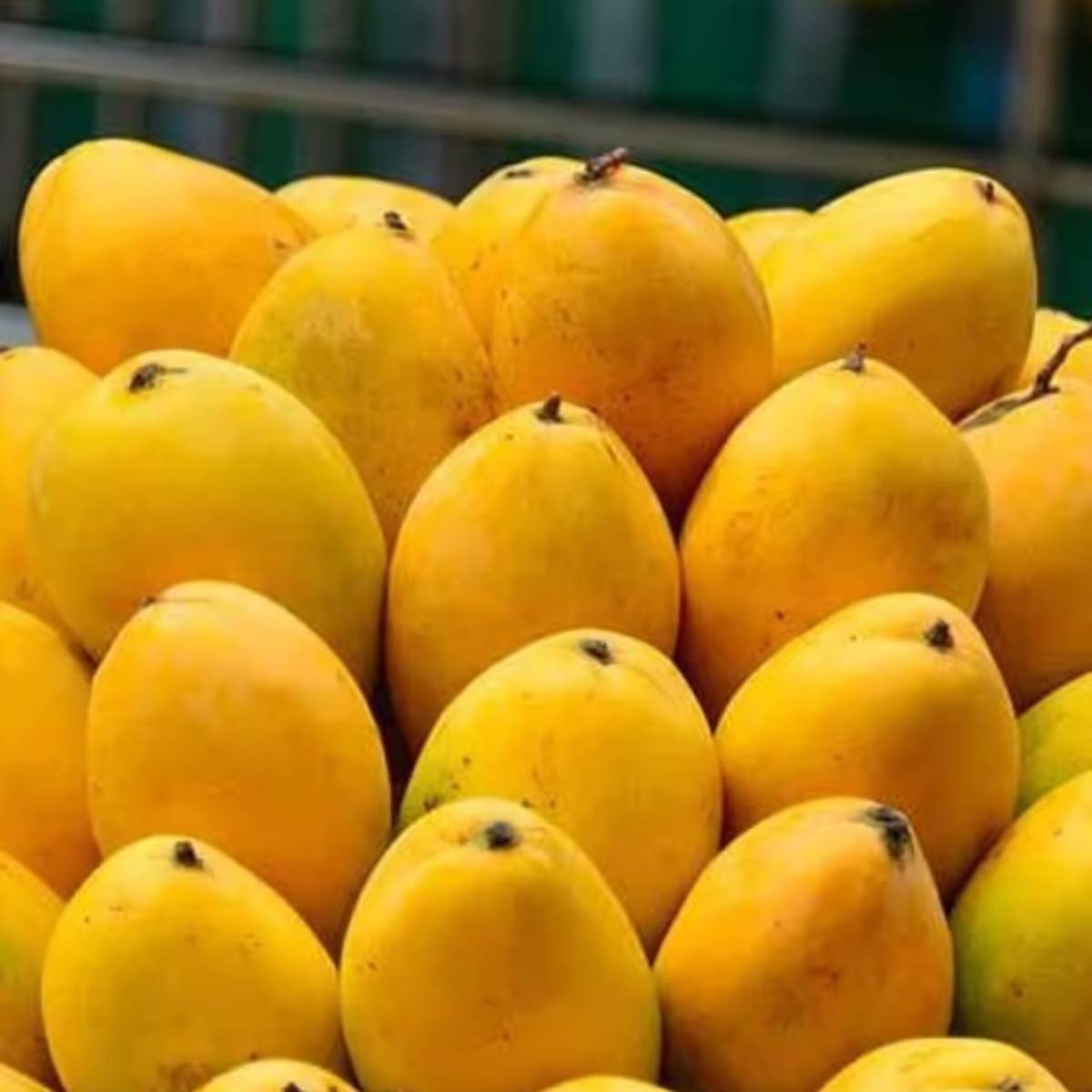 তবে কাঁচা না পাকা, কোন আম খেলে বেশি উপকার, তা জানেন কি....