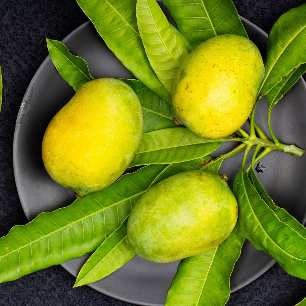 মালদায় আমের মৌসুম কখন? মালদায় আমের মরসুম সাধারণত এপ্রিল মাসে শুরু হয় এবং জুলাই পর্যন্ত চলে। এই সময়ে বাজার তাজা ও মিষ্টি আমে ভরে যায়। এই সময়ে কৃষকেরা তাদের উৎপাদিত ফসল বিক্রি করেন এবং ব্যবসায়ীরা বড় আকারে আম কেনাবেচা করেন।