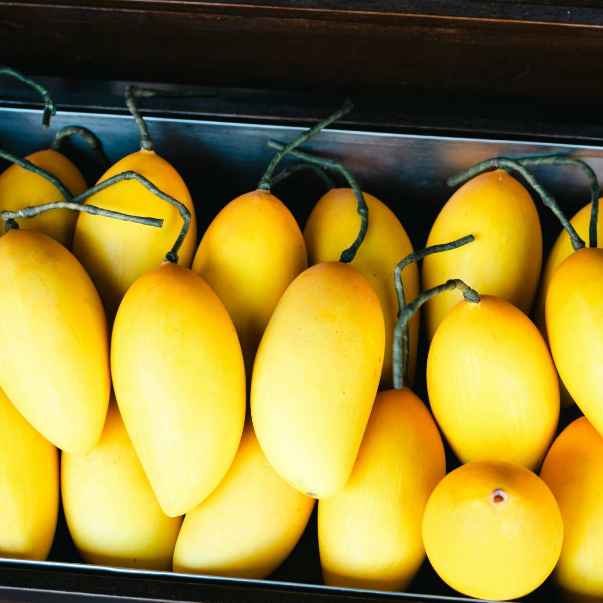 মালদায় কোন আমের জাতগুলো জনপ্রিয়? মালদা তার সুস্বাদু এবং বৈচিত্র্যময় আমের জাতের জন্য বিখ্যাত। এখানকার আমগুলো তাদের মিষ্টতা, সুগন্ধ এবং স্বতন্ত্র গঠনের জন্য দেশীয় ও আন্তর্জাতিকভাবে সমাদৃত। মালদার সবচেয়ে জনপ্রিয় আম হলো হিমসাগর। এ ই আমটি অত্যন্ত মিষ্টি, রসালো