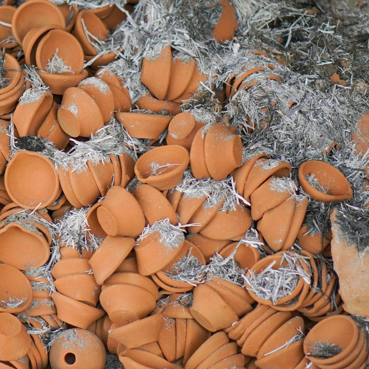 সাশ্রয়ী এবং টেকসই 