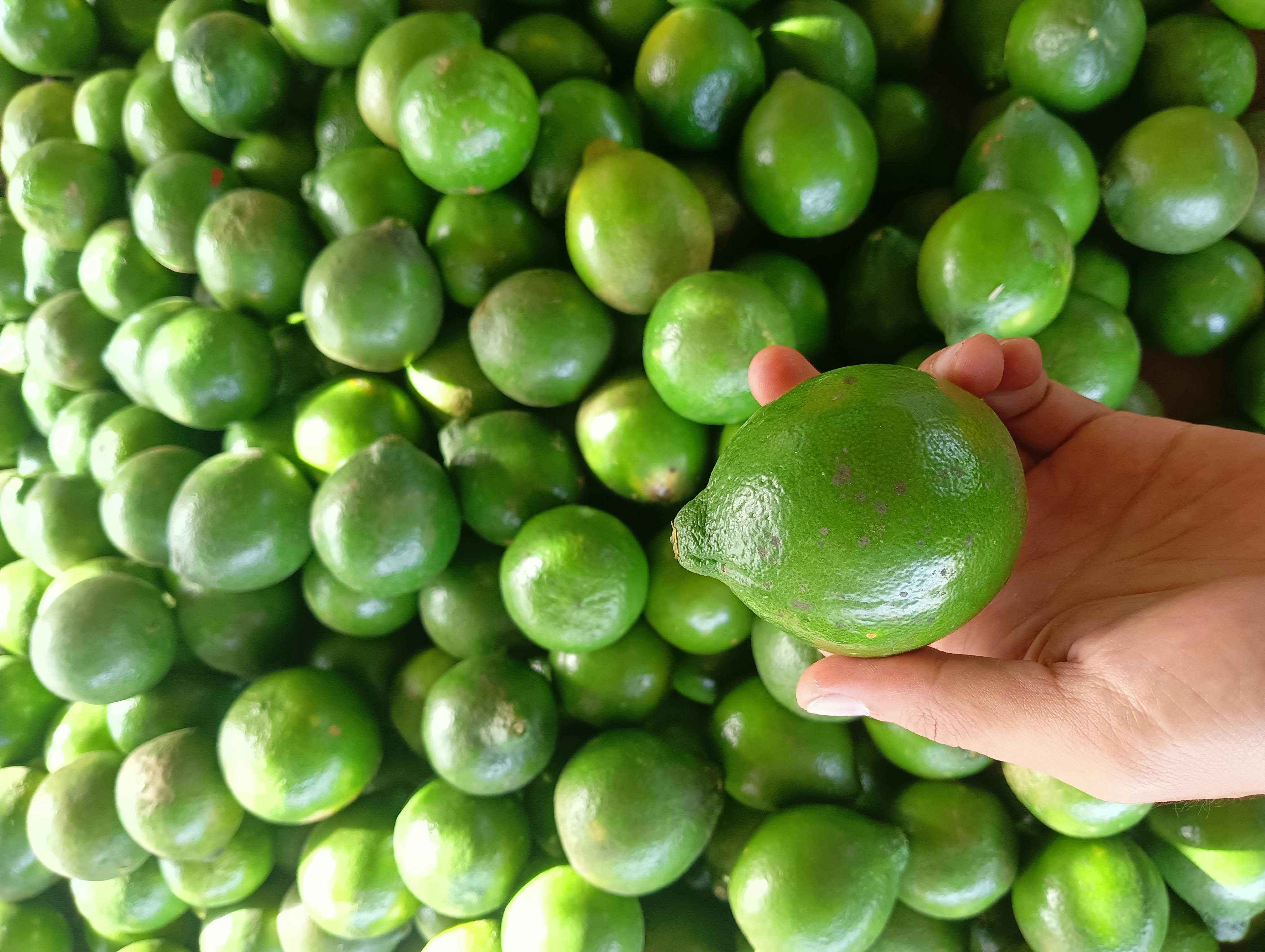 খোসায় নজর দিন