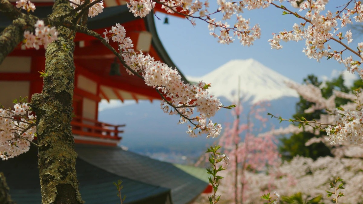 ডেটিং অ্যাপ ৩