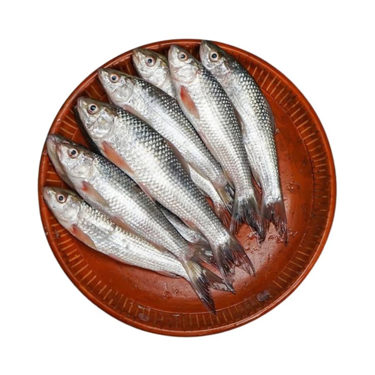 ফিশ ফ্রাই ৩