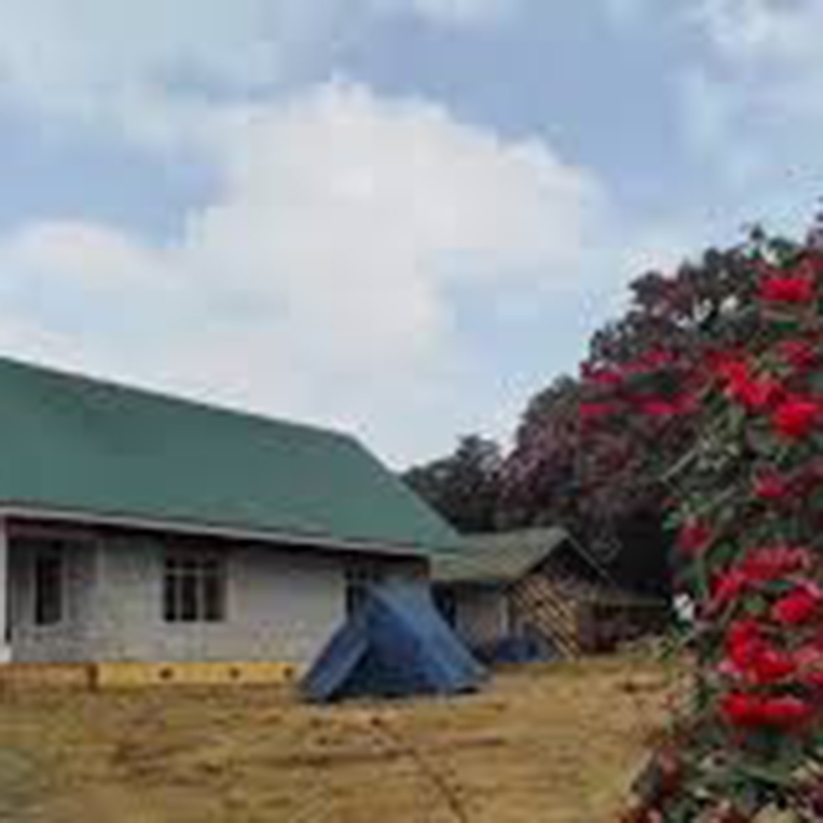 ভার্সে ৩