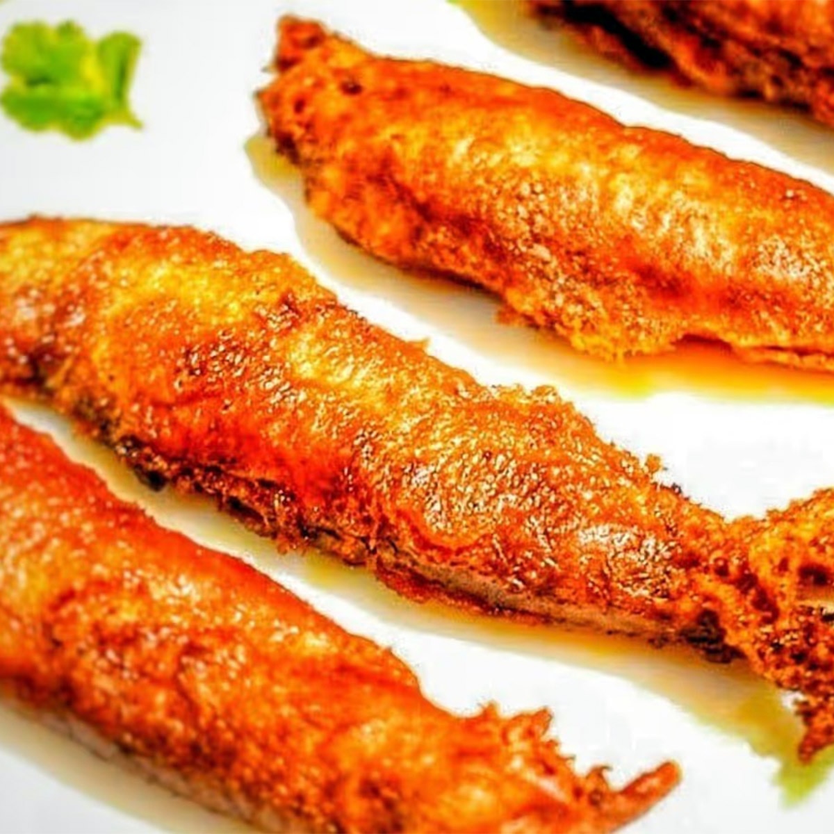 ফিশ ফ্রাই ২
