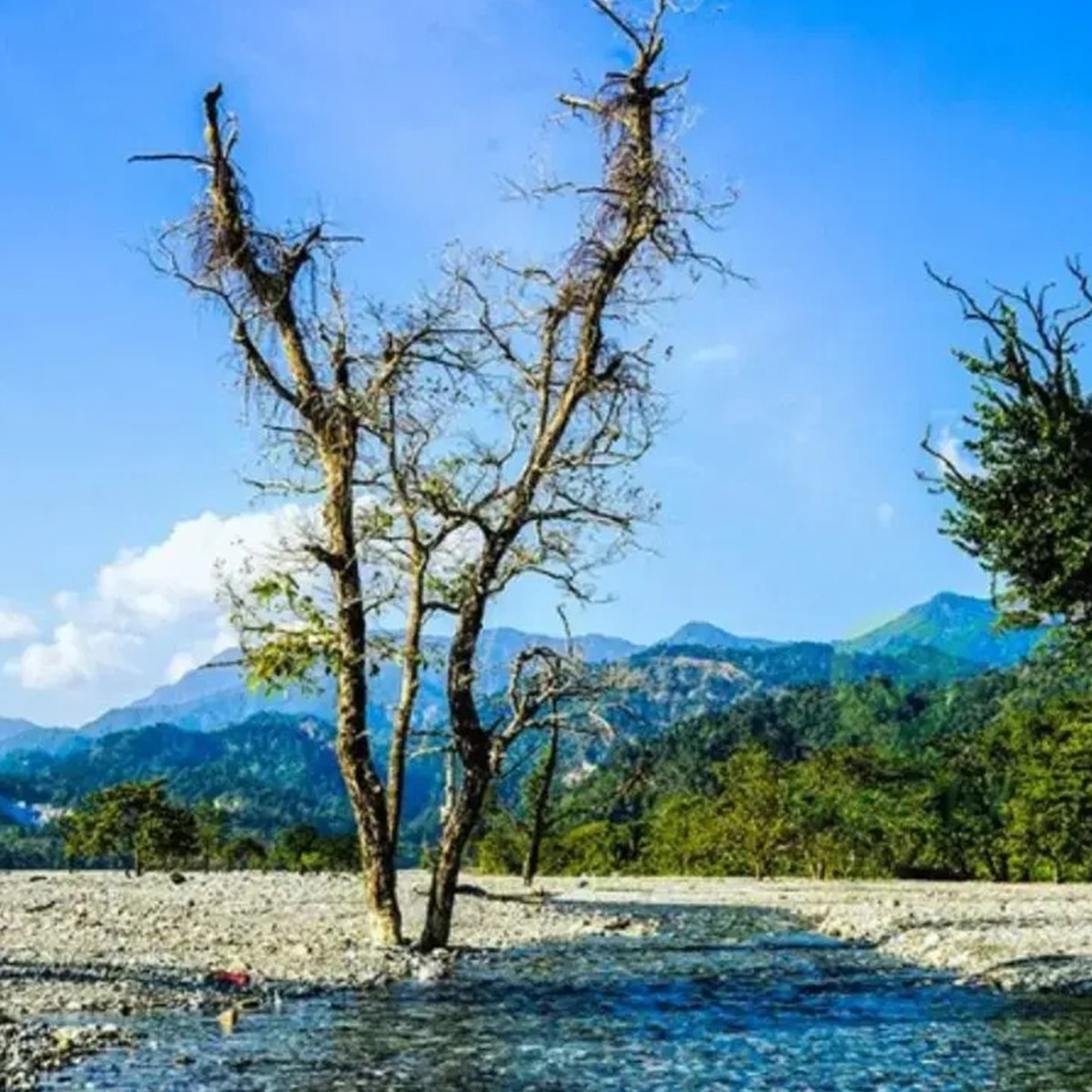 রঙ্গো ১