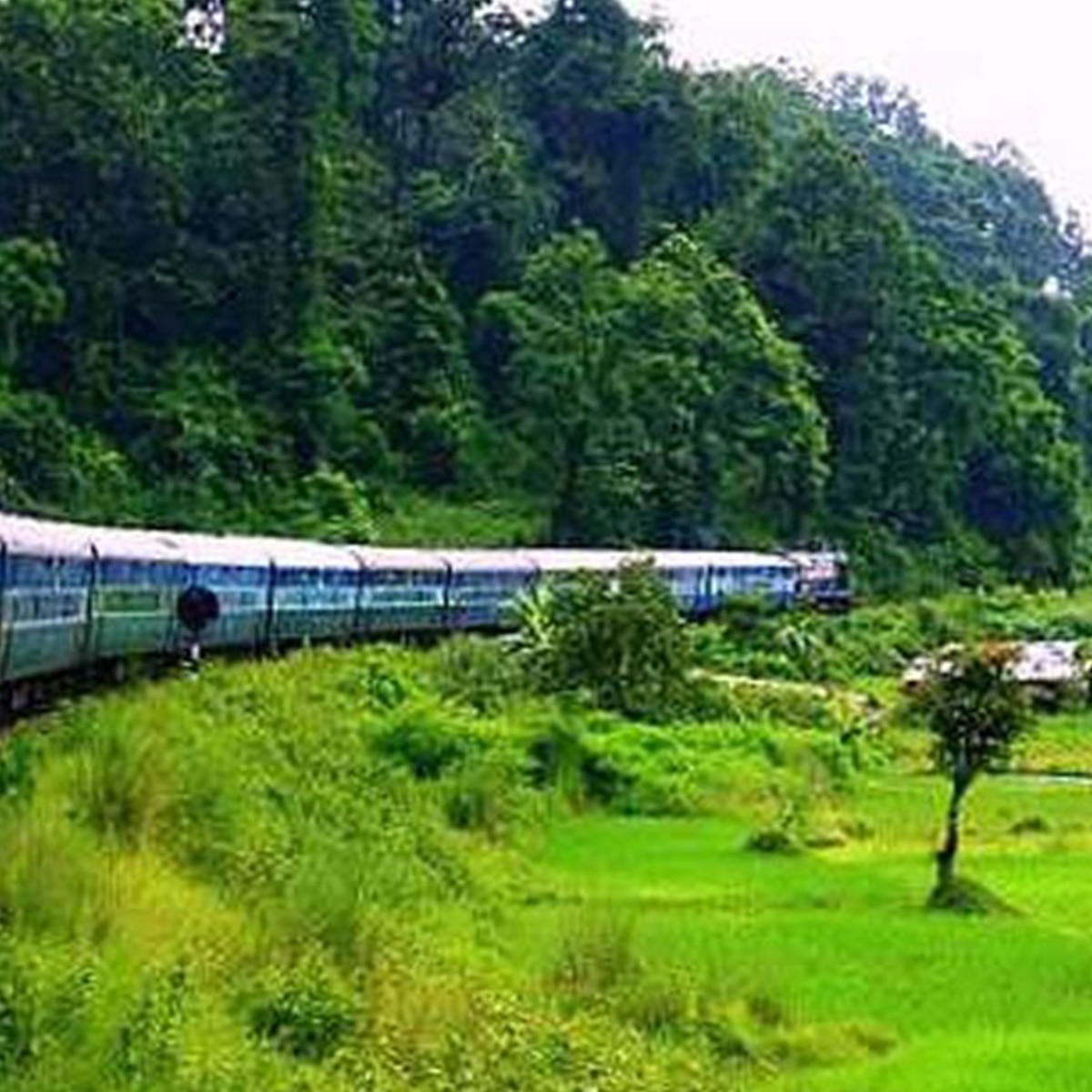 রঙ্গো ৩