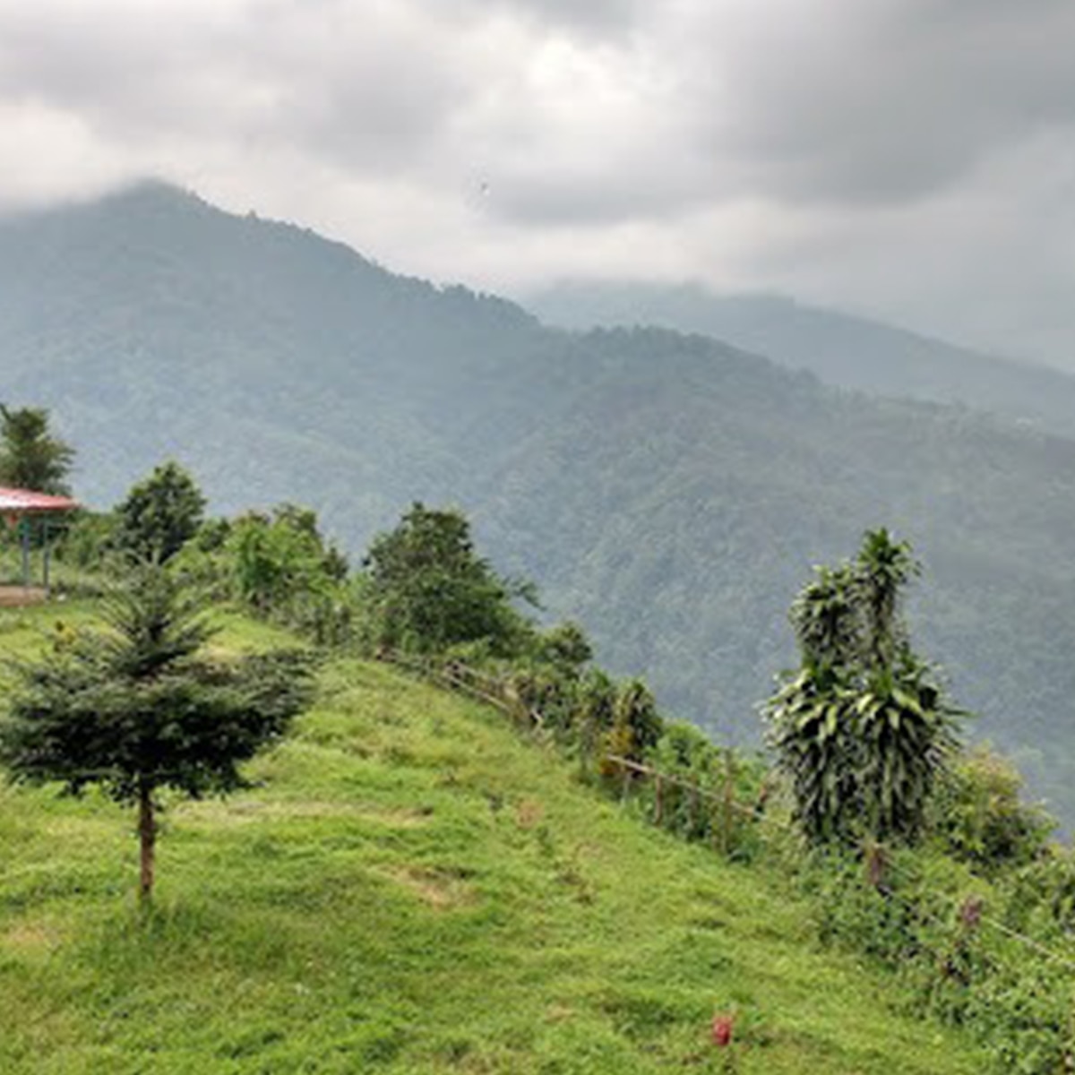 রঙ্গো ৬