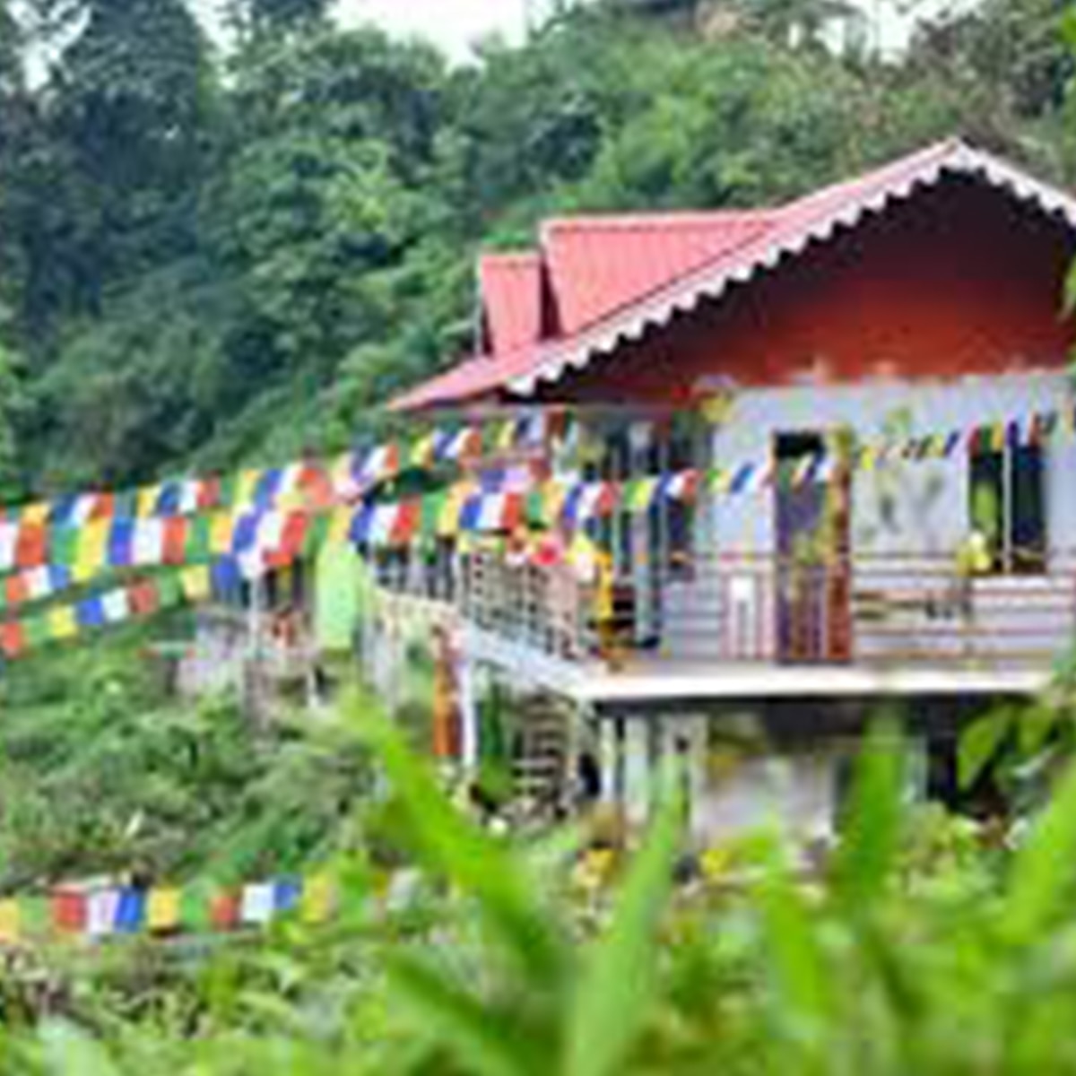 রঙ্গো ৮