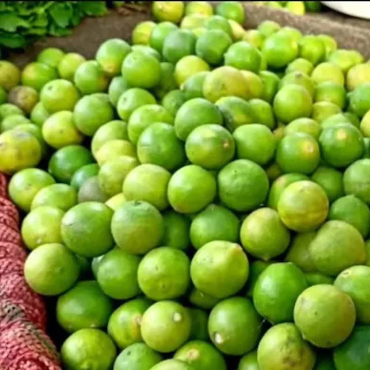 লেবু কীভাবে ব্যবহার করবেন?